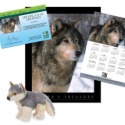 Adopt a Wolf - $50