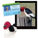 Adopt a Red-Headed Woodpecker