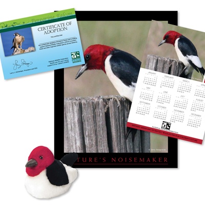 Adopt a Red-Headed Woodpecker - $50