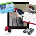Adopt a Red-Headed Woodpecker