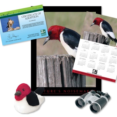 Adopt a Red-Headed Woodpecker - $75