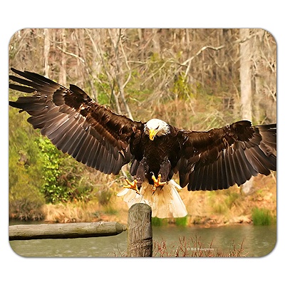 Mouse Pads