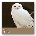 Gift Tags
