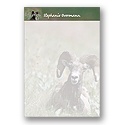 NWF Post-it Notepads - Large