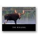 Note Cards