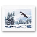 Free Flight Card