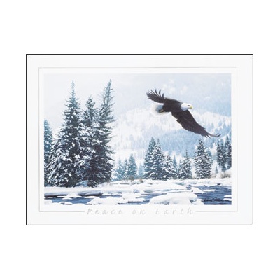 Free Flight Card