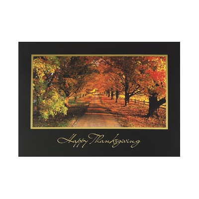 Country Road with Autumn  Trees Card