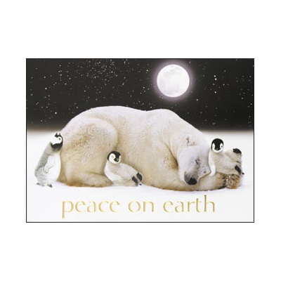 Polar Friends Card