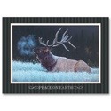 Cold Snap Card
