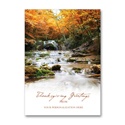 Brilliant Canopy Card