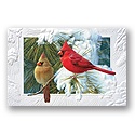 Candid Cardinals Card