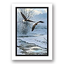 Winter Along the River