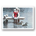 Loons of Winter Card