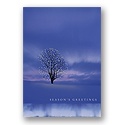 On the Horizon Card