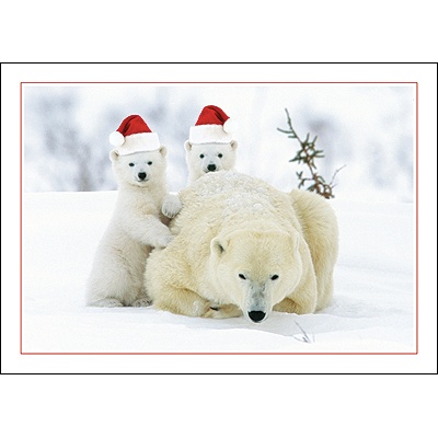Santa Cubs Card
