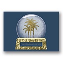 Palm Trees and Snow