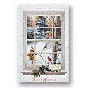 Birdwatcher's Window