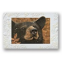 Somethin's Bruin