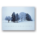 Frosted Field
