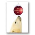 Curious Bear - with Text