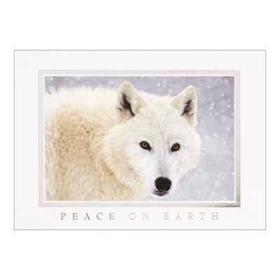Watchful Eyes Card