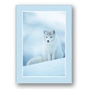 A Peaceful Moment Card