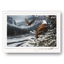 Spirit of the Wild Card