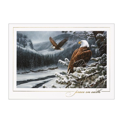 Spirit of the Wild Card