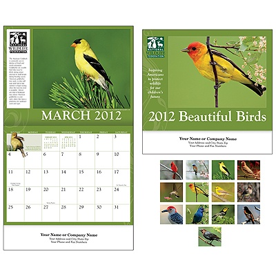 Beautiful Birds 2012 Wall Calendar