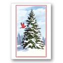 Douglas Fir Card