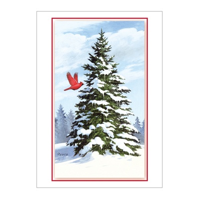 Douglas Fir Card