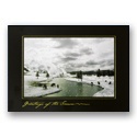 Home on the Range Card
