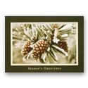 Snowy Pine Card