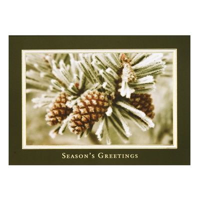 Snowy Pine Card