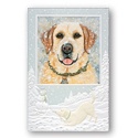 Fresh Snow Card