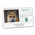 North American Wildlife 2013 Desk Calendar