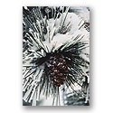ReProduct Pine Cone Card