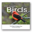 Beautiful Birds Wall Calendar