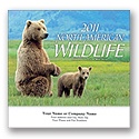 North American Wildlife Wall Calendar