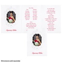 Sparkling Frame Quinceanera - Invitation