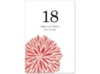 Burst of Color - Guava - Table Number