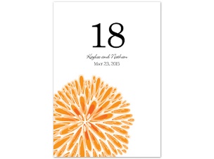 Burst of Color - Tangerine - Table Number