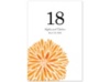 Burst of Color - Tangerine - Table Number