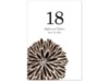 Burst of Color - Chocolate - Table Number