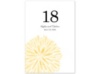 Burst of Color - Canary - Table Number