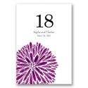 Burst of Color - Sangria - Table Number