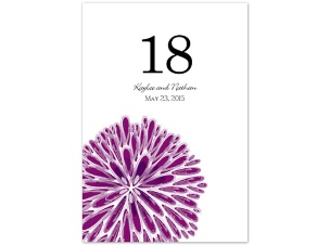 Burst of Color - Sangria - Table Number