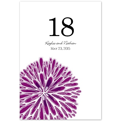 Burst of Color - Sangria - Table Number