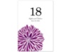 Burst of Color - Sangria - Table Number